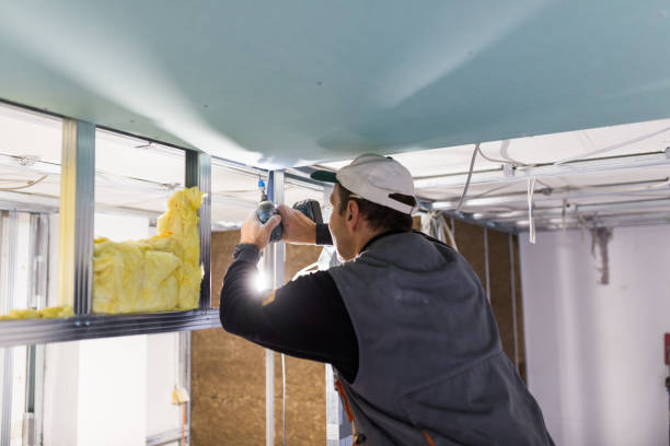 Best Insulation Repair Services  in Mounds View, MN