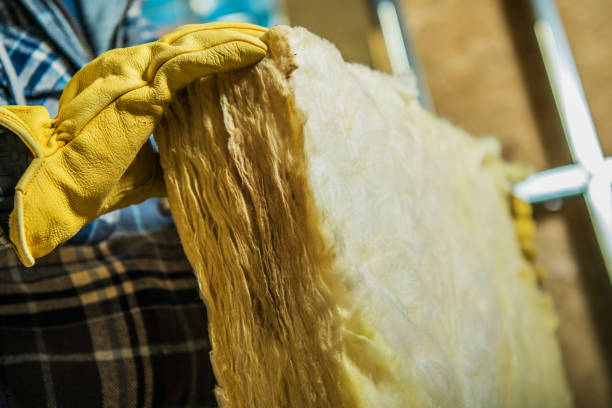 Best Affordable Insulation Services  in Mounds View, MN