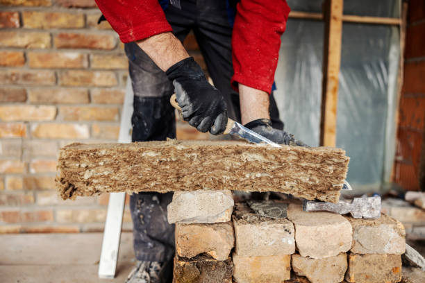 Best Professional Insulation Contractor  in Mounds View, MN