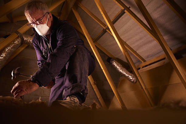 Professional Insulation Contractor in Mounds View, MN