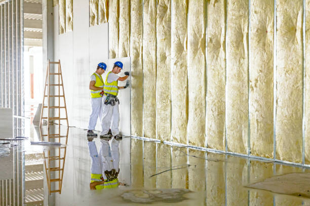 Insulation Contractors for Homes in Mounds View, MN